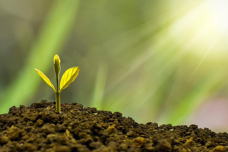 Sustainability in entrepreneurship